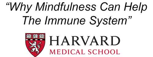 How mindfulness boosts antibodies and t cells