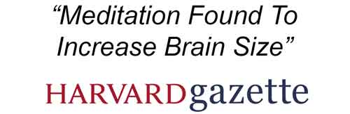 Neuroplasticity, health, & immunity
